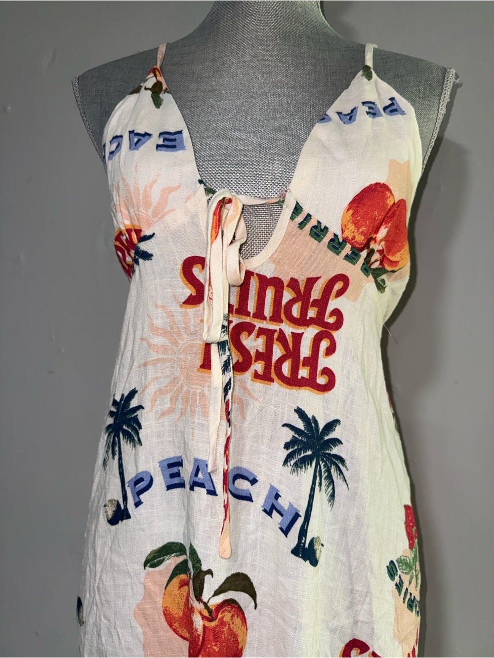 Paper Heart By Anthropologie dress Fruit Print Spaghetti Strap Maxi Dress - Picture 2 of 8